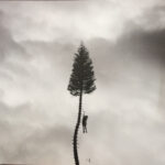 A Black Mile To The Surface