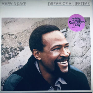 Dream Of A Lifetime - Image 2