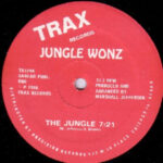 The Jungle