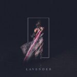Lavender