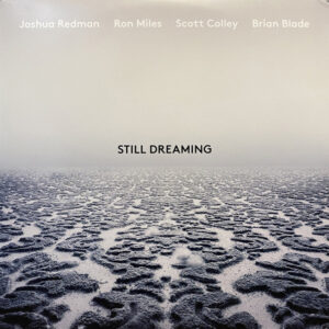 Still Dreaming