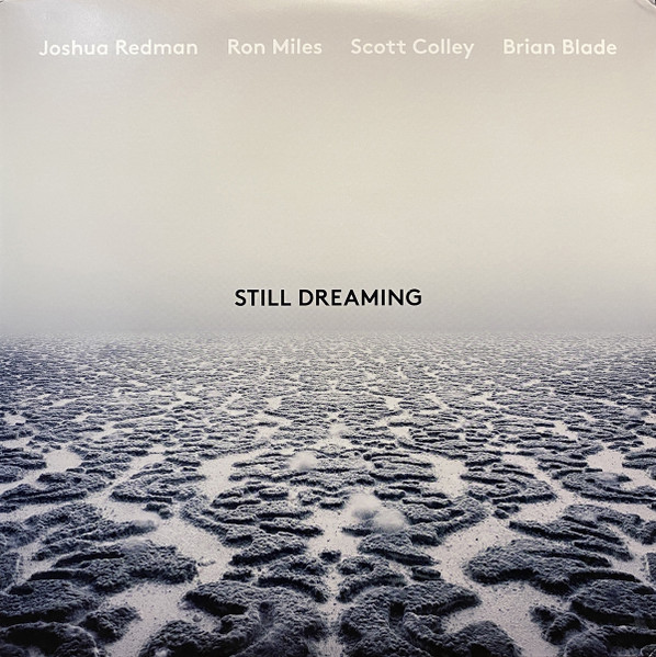Still Dreaming