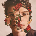 Shawn Mendes