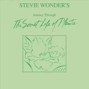 Stevie Wonder’s Journey Through The Secret Life Of Plants