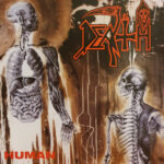 Human