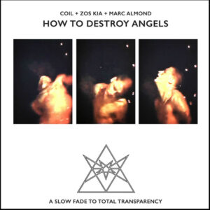 How To Destroy Angels,How To Destroy Angels (A Slow Fade To Total Transparency)