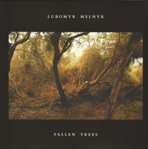Fallen Trees