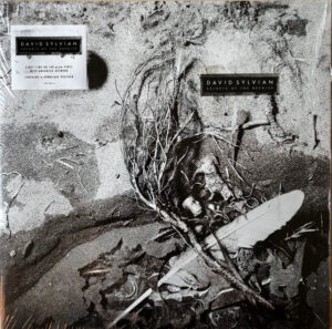 Secrets Of The Beehive