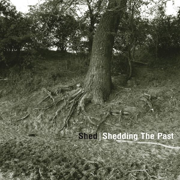Shedding The Past