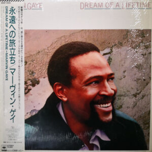 Dream Of A Lifetime - Image 1