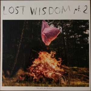 Lost Wisdom Pt. 2