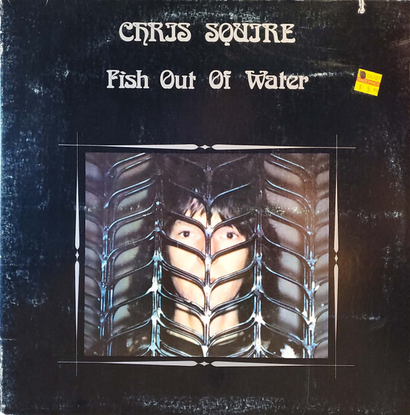 Fish Out Of Water