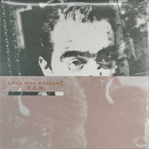 Lifes Rich Pageant: imagen 2