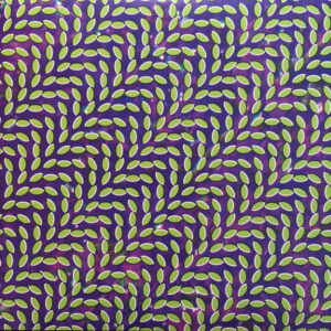 Merriweather Post Pavilion