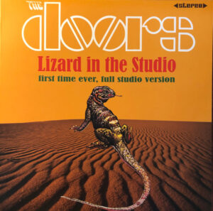 Lizard In The Studio