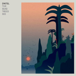 The Seas Trees See