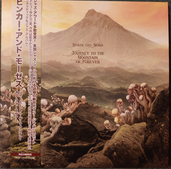 Journey To The Mountain Of Forever