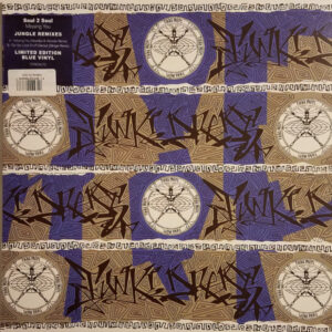 Missing You (Jungle Remixes)