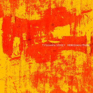 Verisimilitude