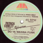 Do Ya Wanna Funk