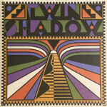 Twin Shadow