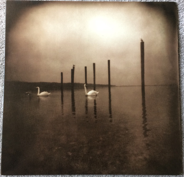Conference Of The Birds