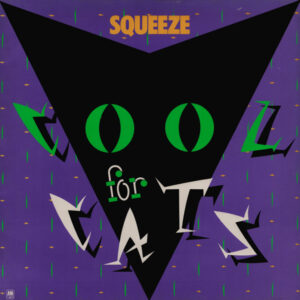 Cool For Cats