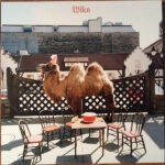 Wilco (The Album)