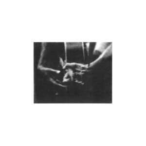 Unaccompanied Acoustic Guitar Improvisations Vol. 2