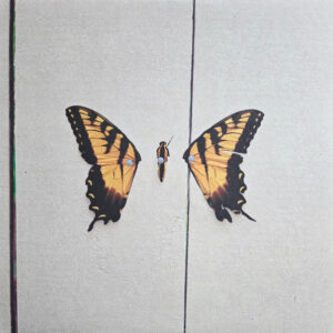 Brand New Eyes