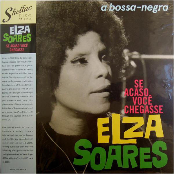 Se Acaso Você Chegasse