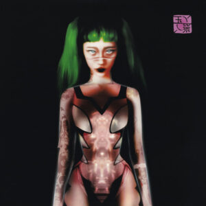 Glitch Princess: imagen 2