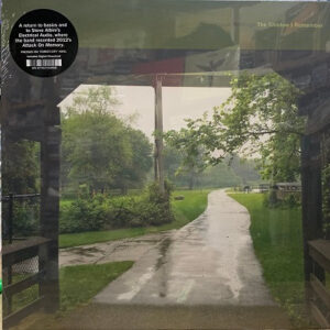 The Shadow I Remember - Image 1