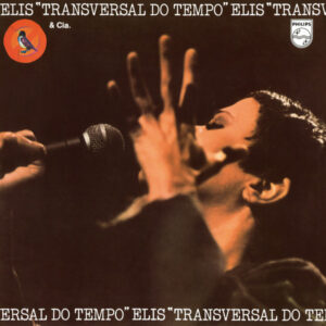 Transversal Do Tempo