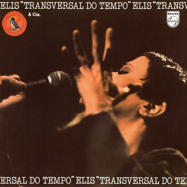 Transversal Do Tempo