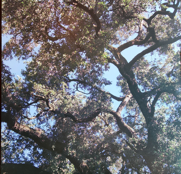 Trees