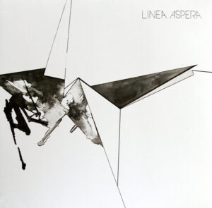 Linea Aspera