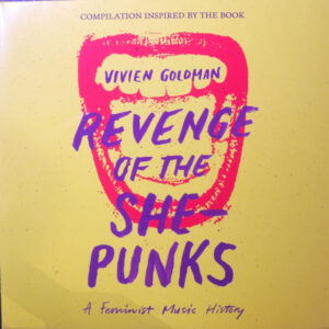 Revenge Of The She-Punks – A Feminist Music History