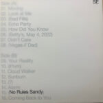 No Rules Sandy