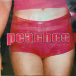 The Teaches Of Peaches