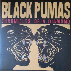 Chronicles Of A Diamond: imagen 1