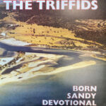 Born Sandy Devotional