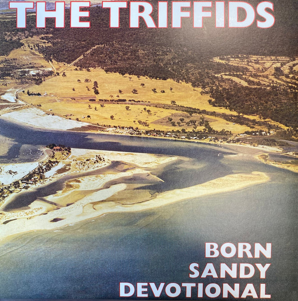 Born Sandy Devotional