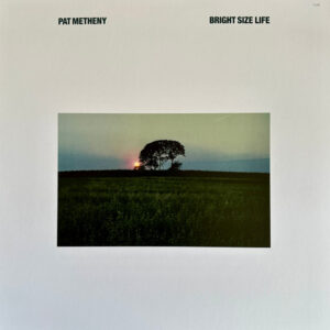 Bright Size Life