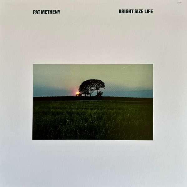 Bright Size Life