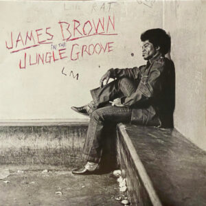 In The Jungle Groove - Image 1