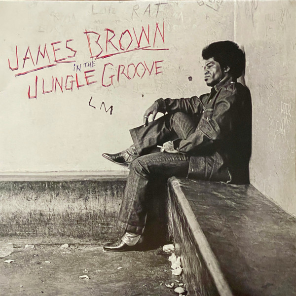 In The Jungle Groove