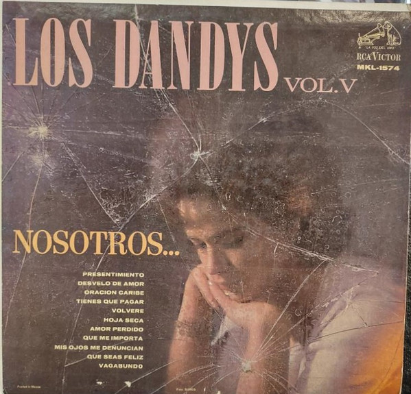 Nosotros Vol. V