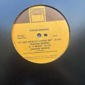 If You Really Loved Me (House remix)