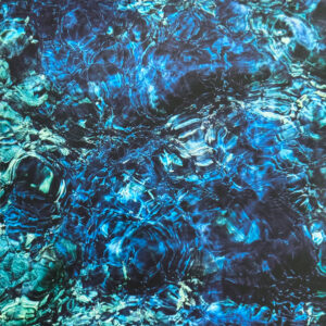 Luminescent Creatures - Image 1